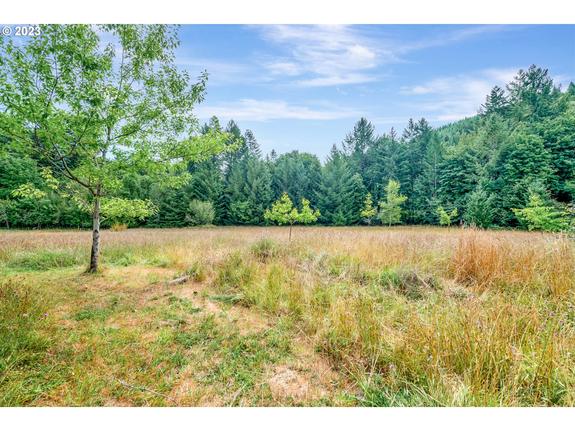 21696 High Pass Road Blachly, OR 97412 - Photo 43 of 44 Gallery Image 43