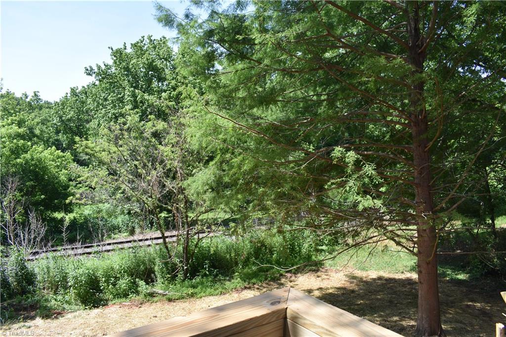 239 Surry Avenue Elkin, NC 28621 - Photo 25 of 25