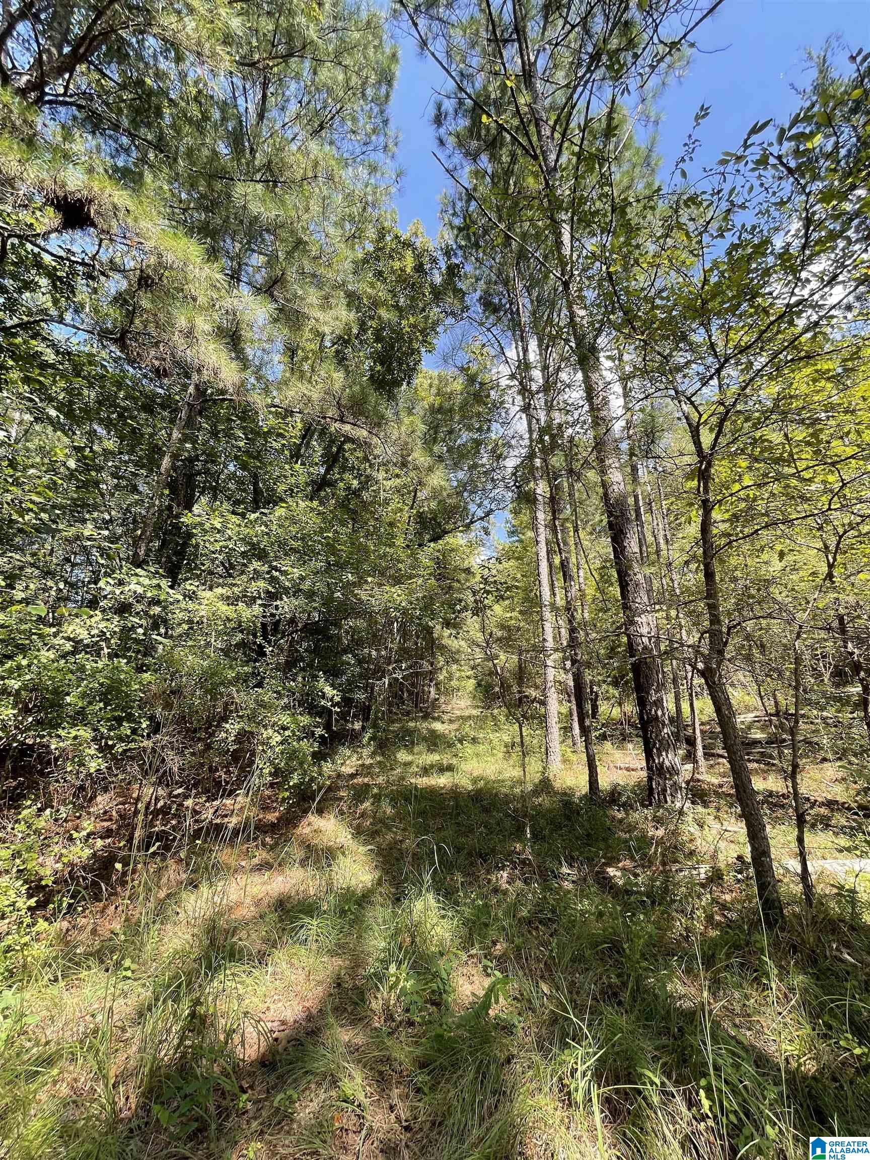 0 Joy Road Hayden, AL 35079 - Photo 11 of 23