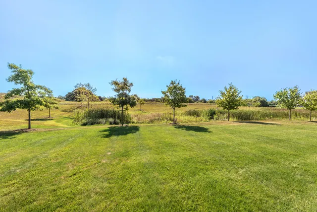 $615,000 | 233 Campolina Street, Chelsea, MI 48118