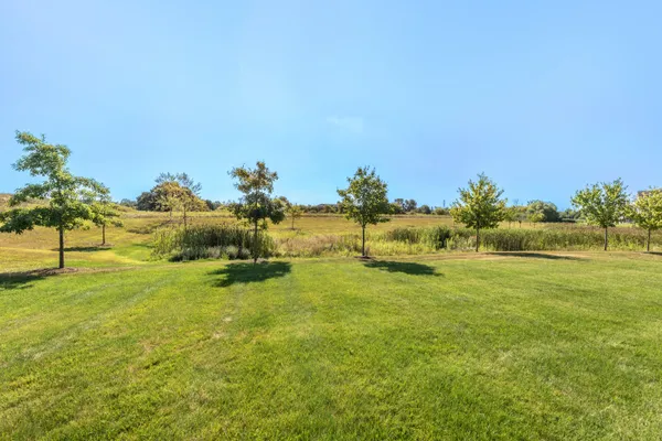 $615,000 | 233 Campolina Street, Chelsea, MI 48118