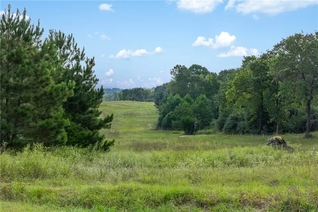 $625,000 | 8980 Fm 1511, Oakwood, TX 75855