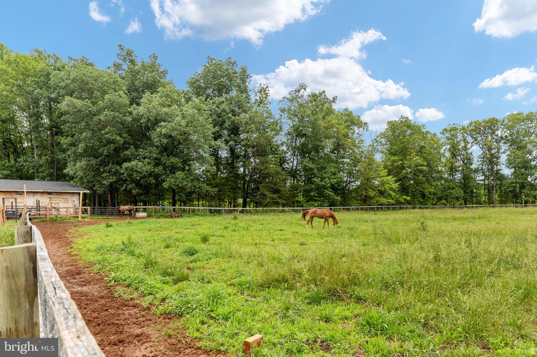 6119 Beach Road Midland, VA 22728 - Photo 89 of 98