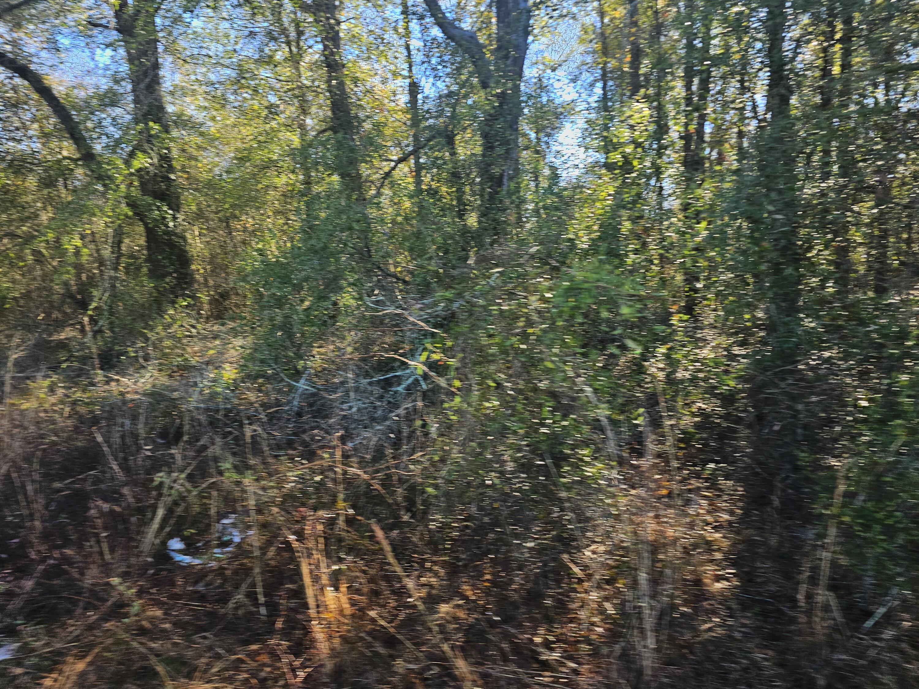 1 River Road Waynesboro, GA 30830 - Photo 2 of 5 20260217_100242