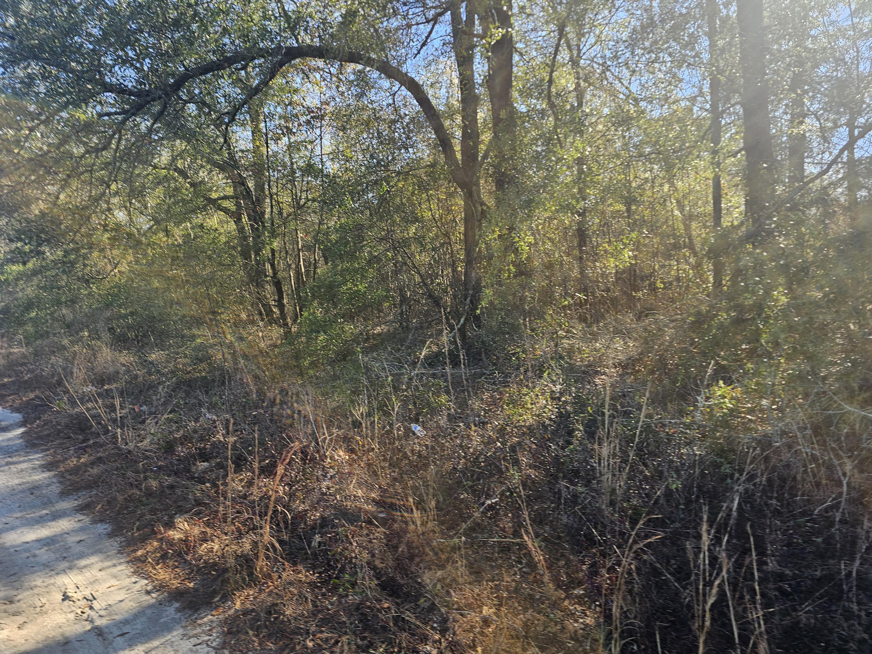 1 River Road Waynesboro, GA 30830 - Photo 4 of 5 20260217_100248