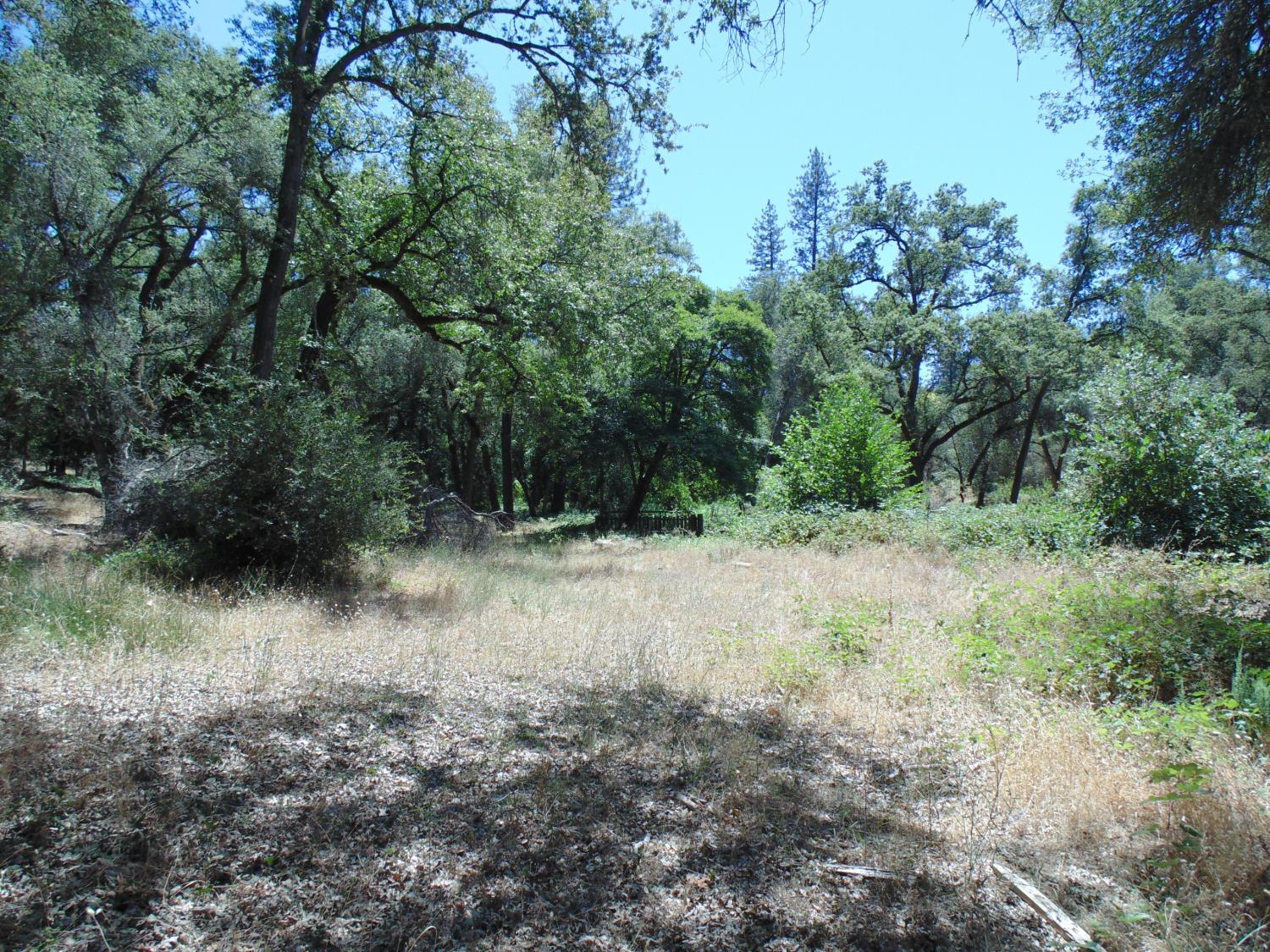 1148 Lotus Road Placerville, CA 95667 - Photo 7 of 24 Gallery Image 7