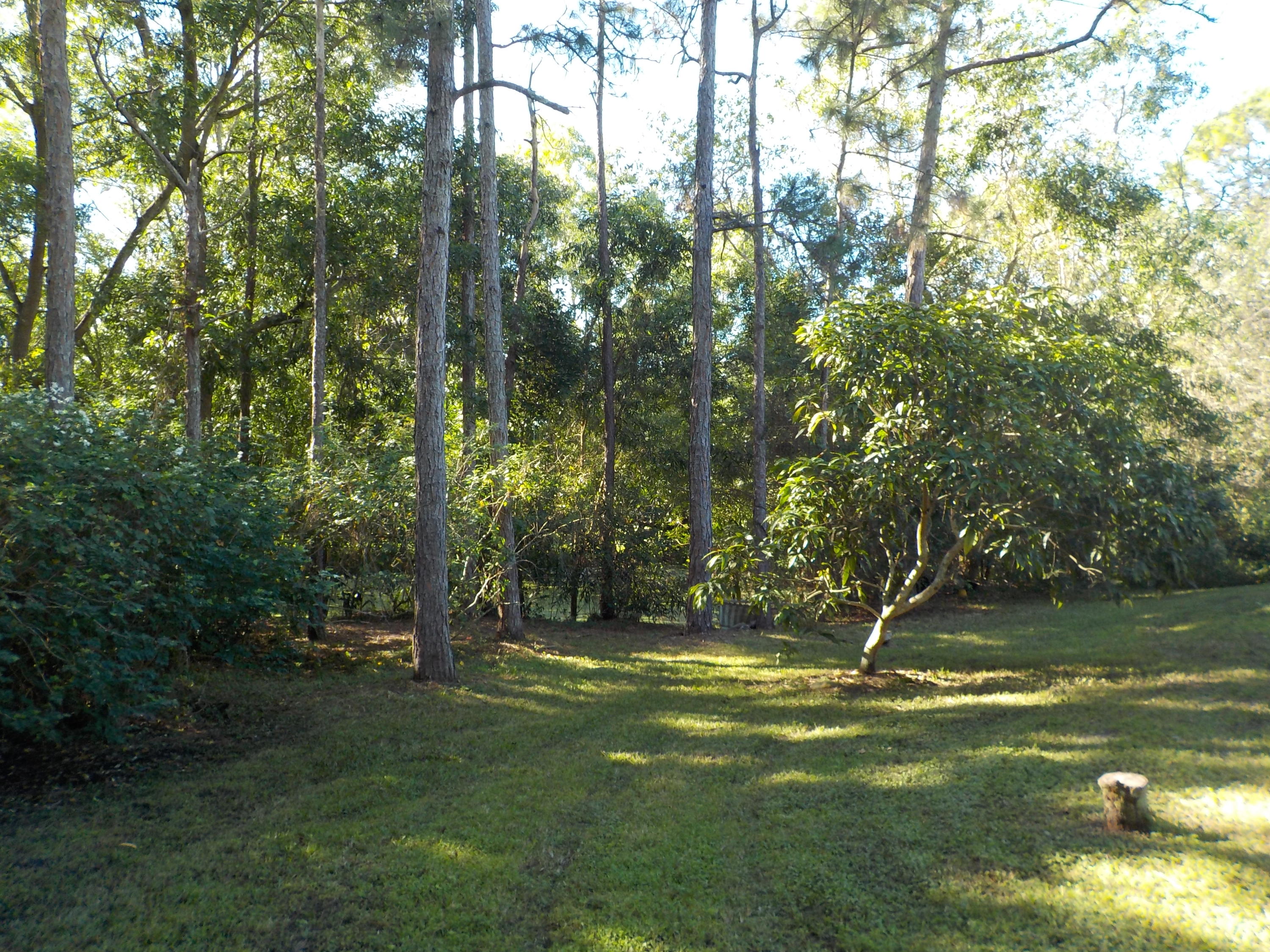 13882 153rd Road North Jupiter, FL 33478 - Photo 22 of 23 Pond