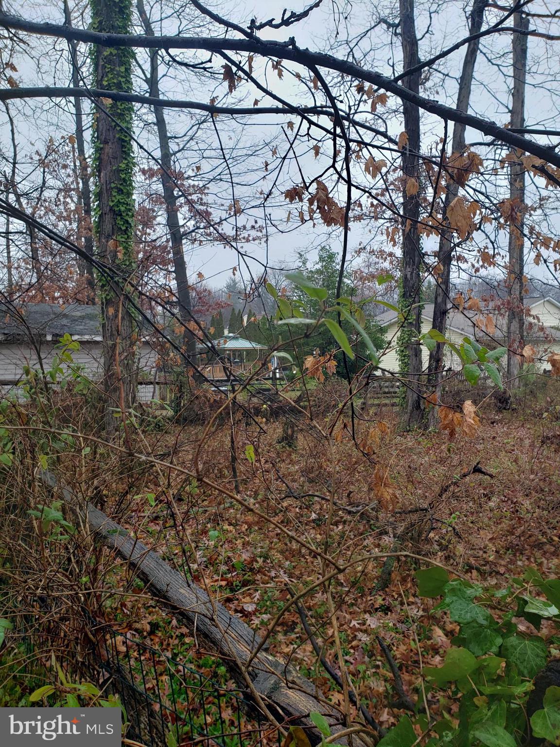 John Avenue Baltimore, MD 21221 - Photo 11 of 22 a backyard of a house with lots of green space
