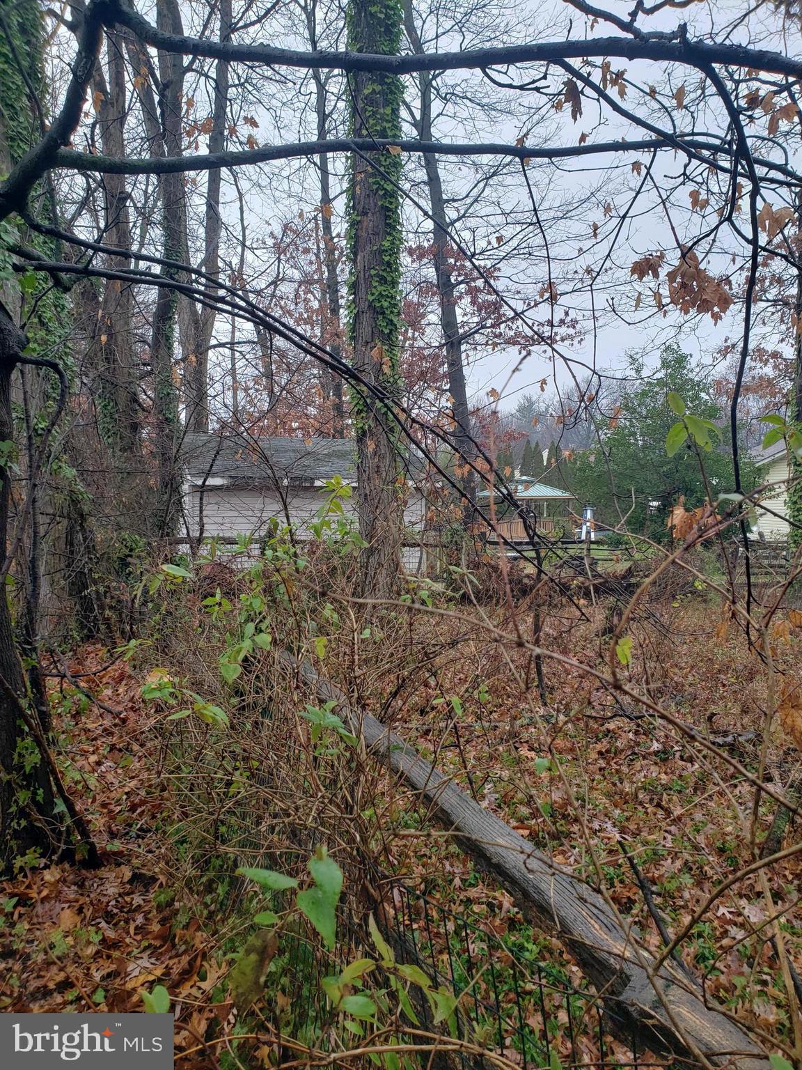 John Avenue Baltimore, MD 21221 - Photo 12 of 22 a backyard of a house with lots of green space
