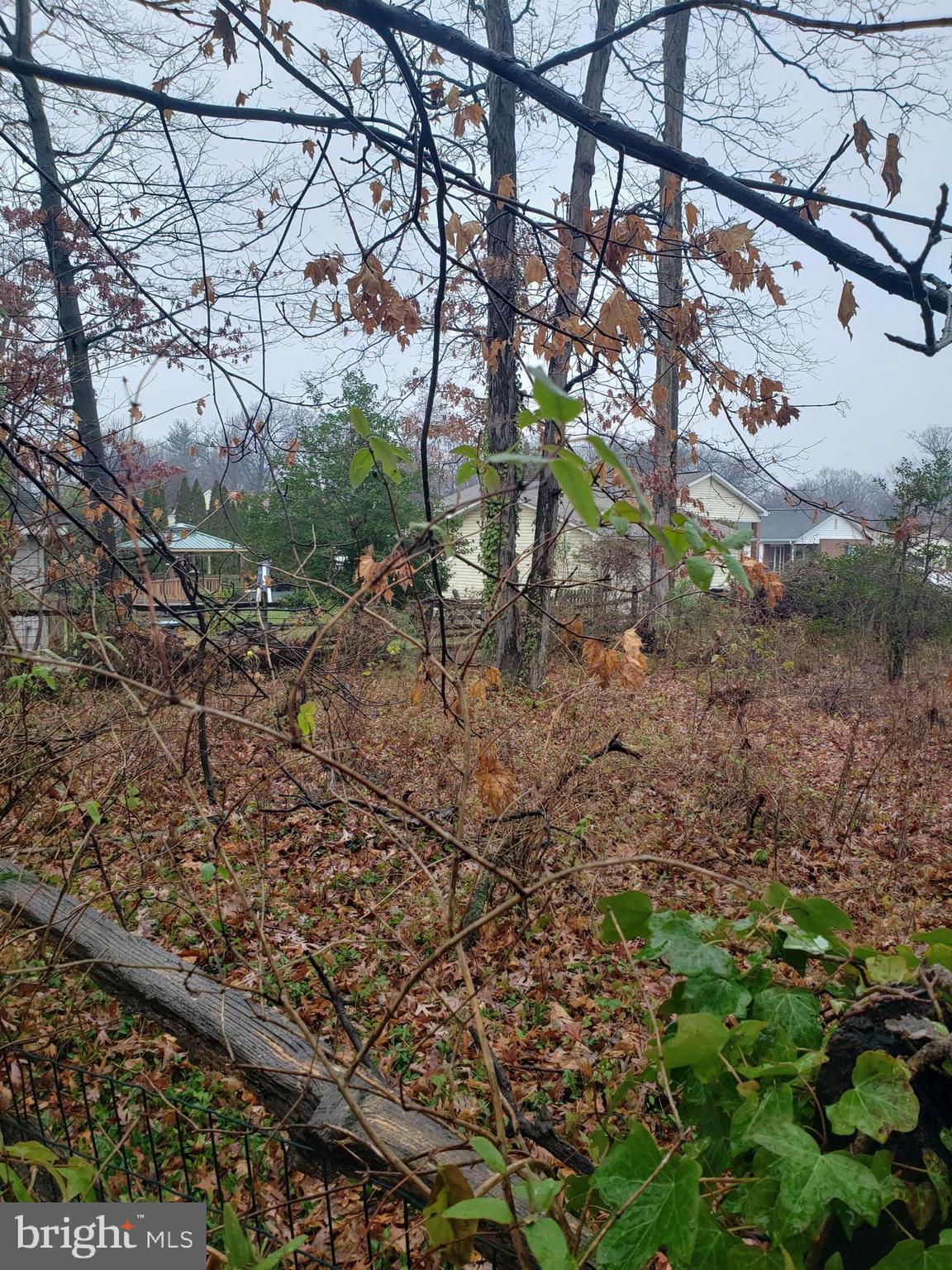 John Avenue Baltimore, MD 21221 - Photo 13 of 22 a backyard of a house with lots of green space