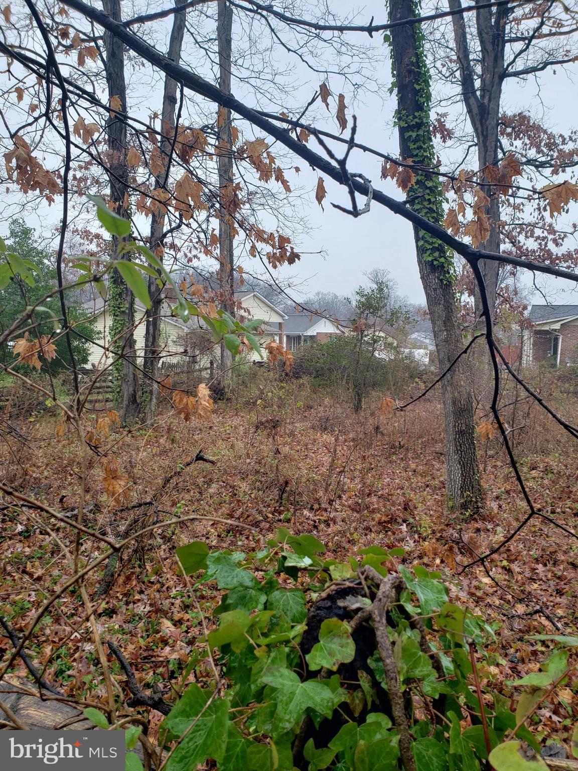 John Avenue Baltimore, MD 21221 - Photo 14 of 22 a view of a yard with a tree
