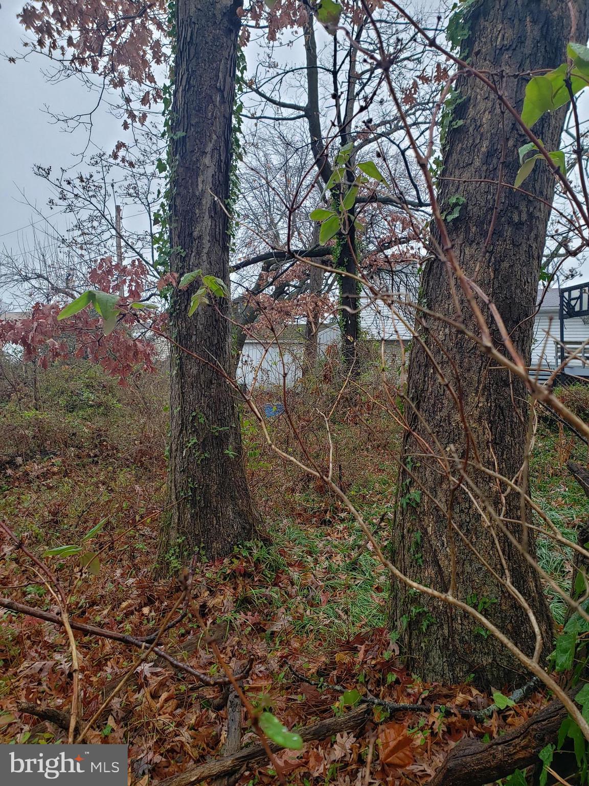 John Avenue Baltimore, MD 21221 - Photo 15 of 22 a backyard of a house