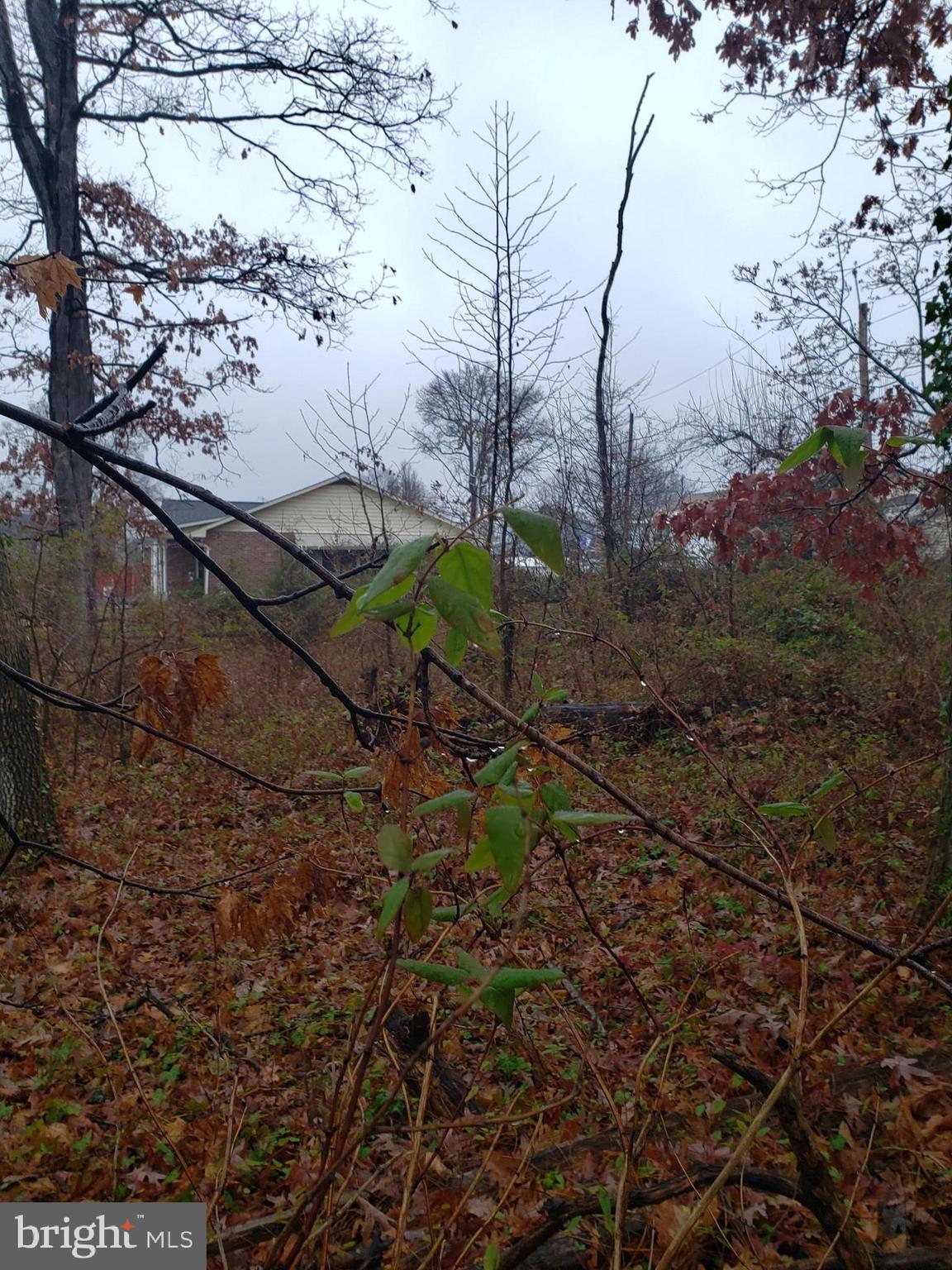 John Avenue Baltimore, MD 21221 - Photo 16 of 22 a view of a backyard of the house