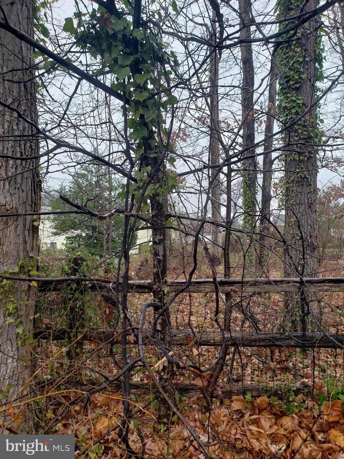 John Avenue Baltimore, MD 21221 - Photo 18 of 22 a backyard of a house with lots of green space
