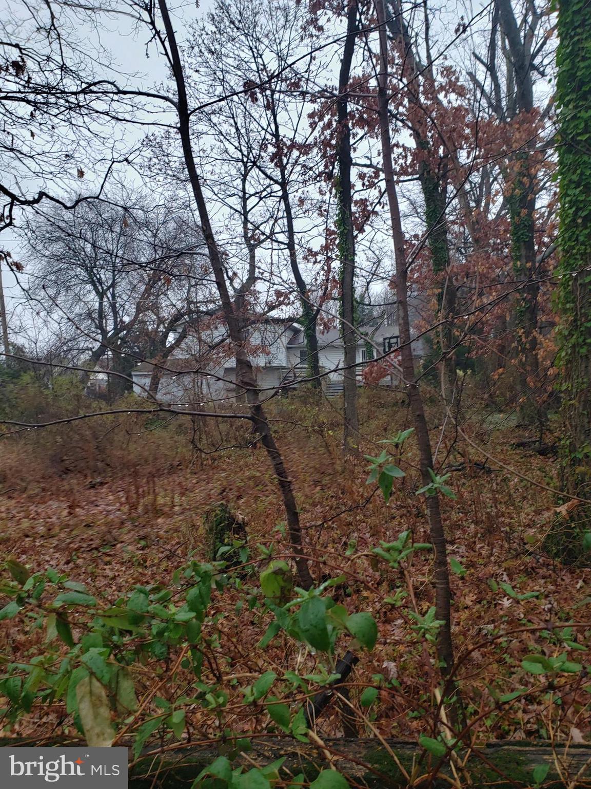 John Avenue Baltimore, MD 21221 - Photo 19 of 22 a view of a forest with lots of trees