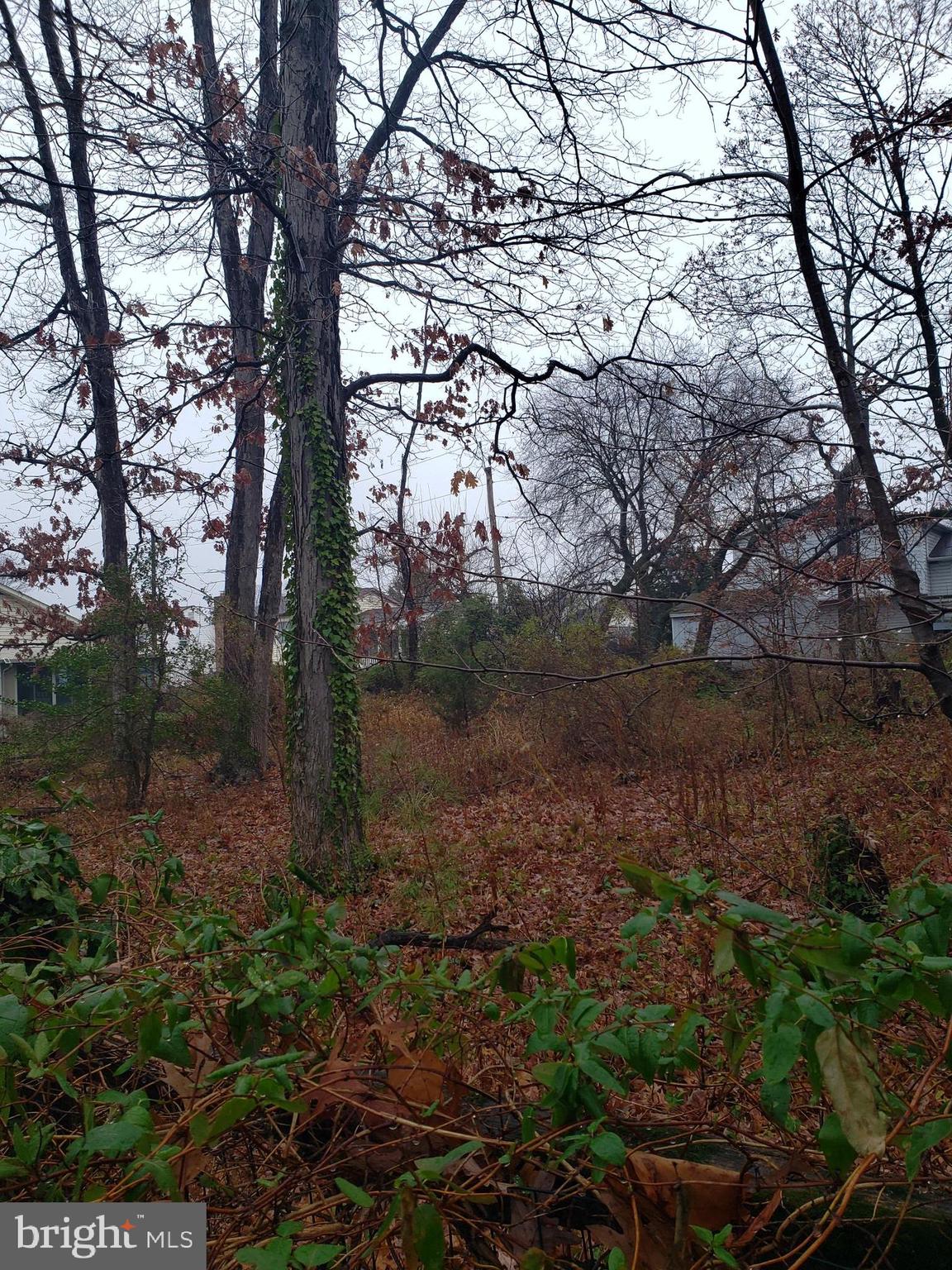 John Avenue Baltimore, MD 21221 - Photo 20 of 22 a backyard of a house with lots of green space