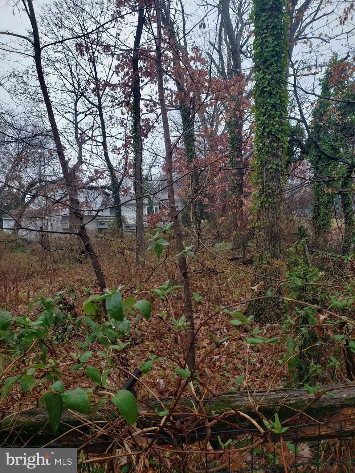 John Avenue Baltimore, MD 21221 - Photo 22 of 22 a view of a yard with plants and trees