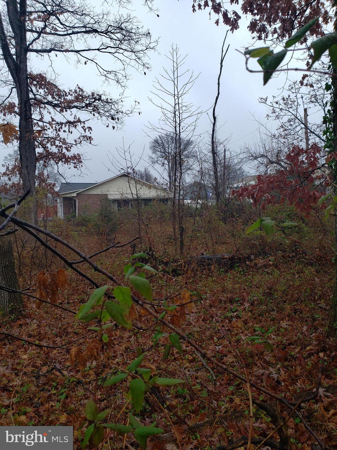 John Avenue Baltimore, MD 21221 - Photo 5 of 22 a backyard of a house with lots of green space