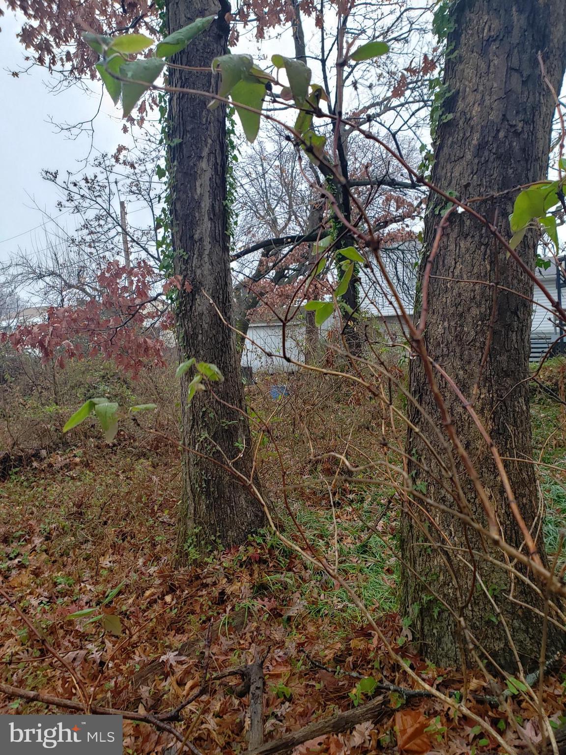 John Avenue Baltimore, MD 21221 - Photo 6 of 22 a backyard of a house with lots of green space