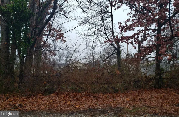 a view of backyard with green space