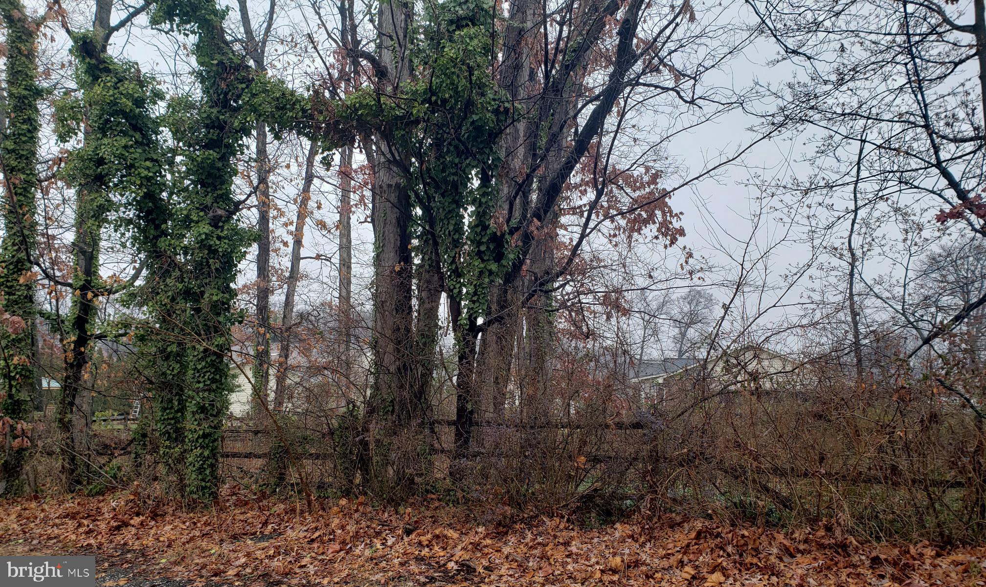 John Avenue Baltimore, MD 21221 - Photo 8 of 22 a view of backyard with green space