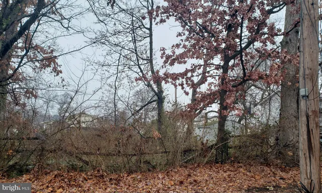a backyard of a house with lots of trees