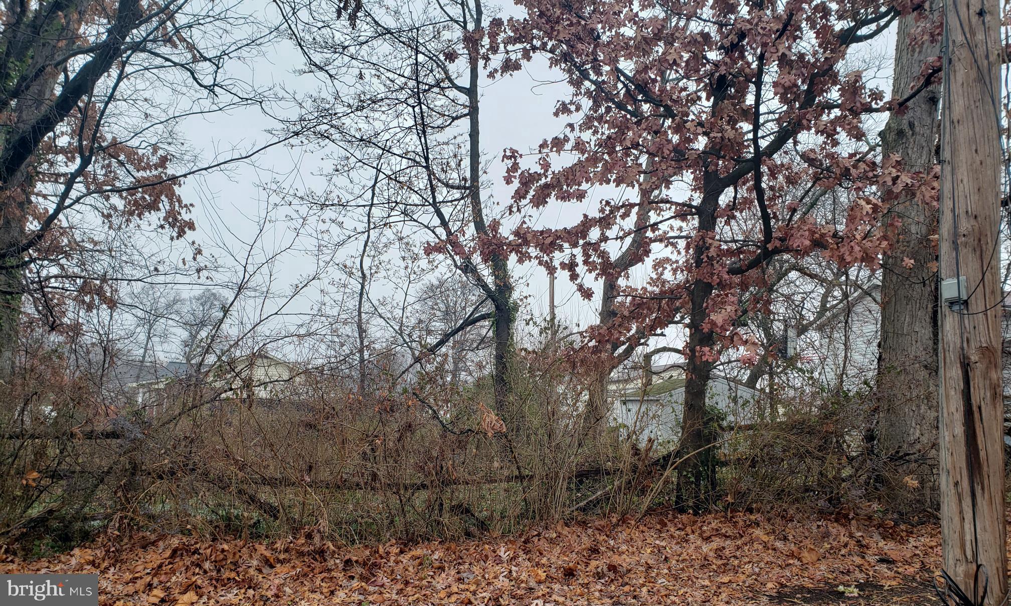 John Avenue Baltimore, MD 21221 - Photo 9 of 22 a backyard of a house with lots of trees
