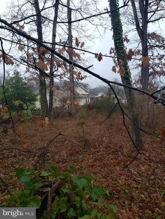 a view of a yard
