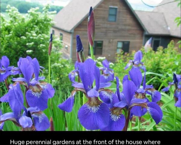 $999,000 | 291 Sweet Road, Cambridge, VT 05444