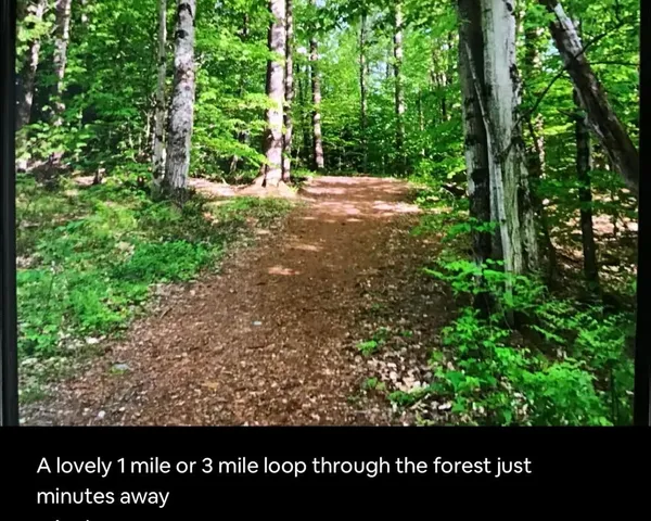 $999,000 | 291 Sweet Road, Cambridge, VT 05444