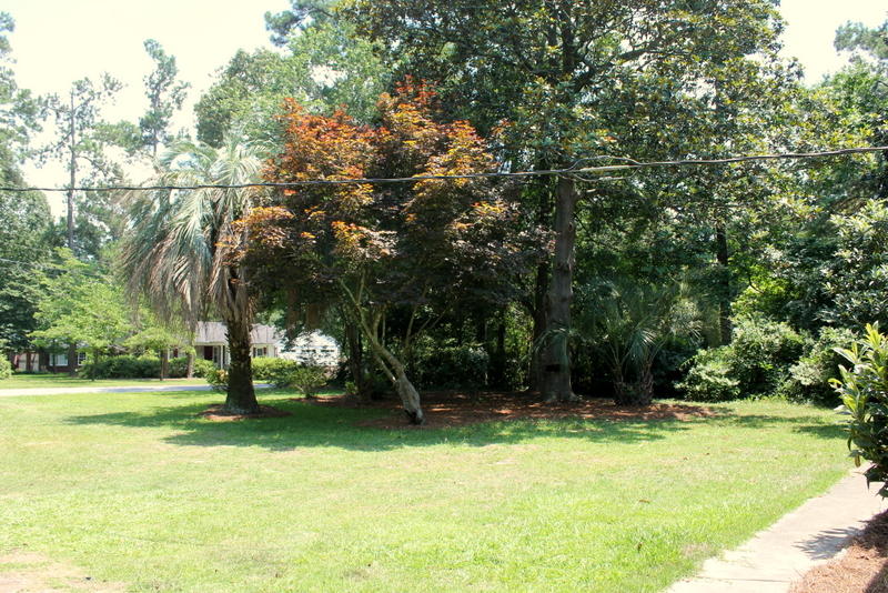 1500 County Rd S-18-240 Summerville, SC 29485 - Photo 10 of 21 IMG_1140