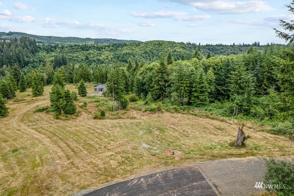 265 Bison Run Longview, WA 98632 - Photo 3 of 5