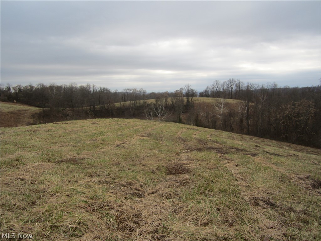 Goose Run Road Marietta, OH 45750 - Photo 11 of 15