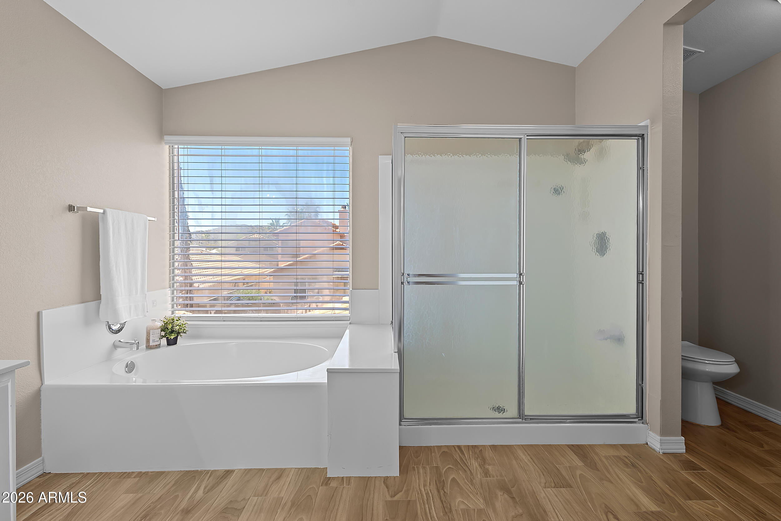 2916 East Amber Ridge Way Phoenix, AZ 85048 - Photo 18 of 33 Primary Bath