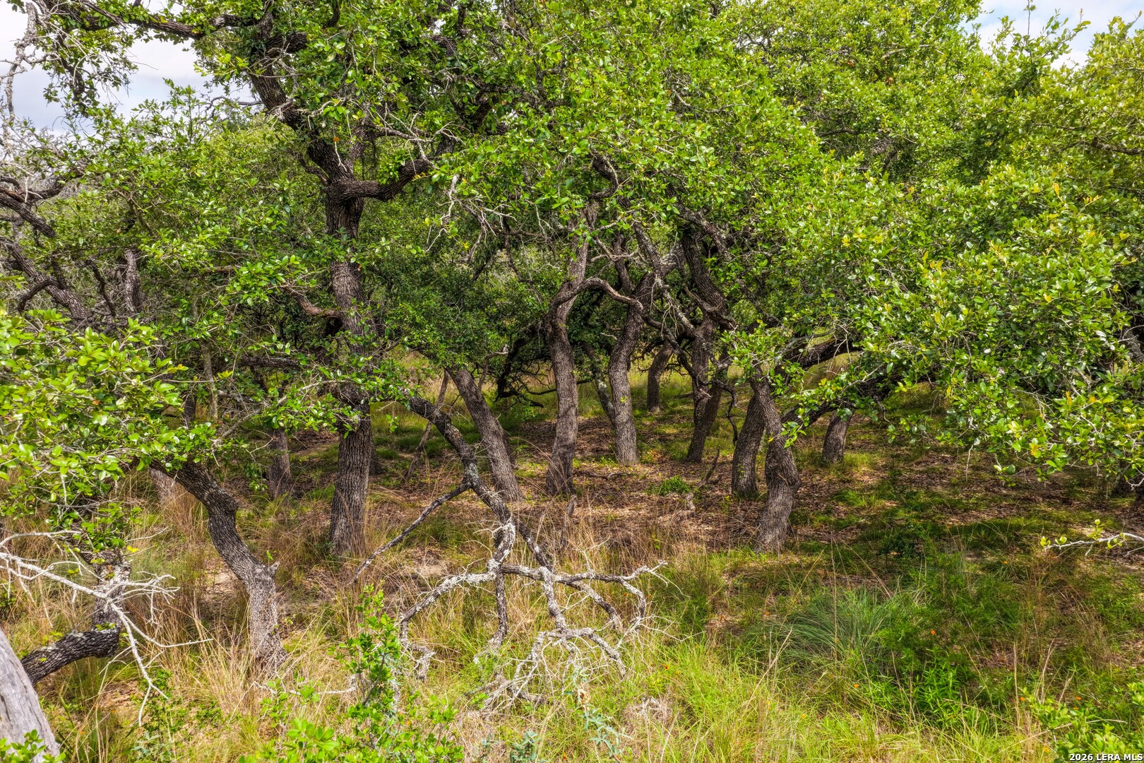 30 Acres /- Peaceful Valley Road Bandera, TX 78003 - Photo 23 of 32