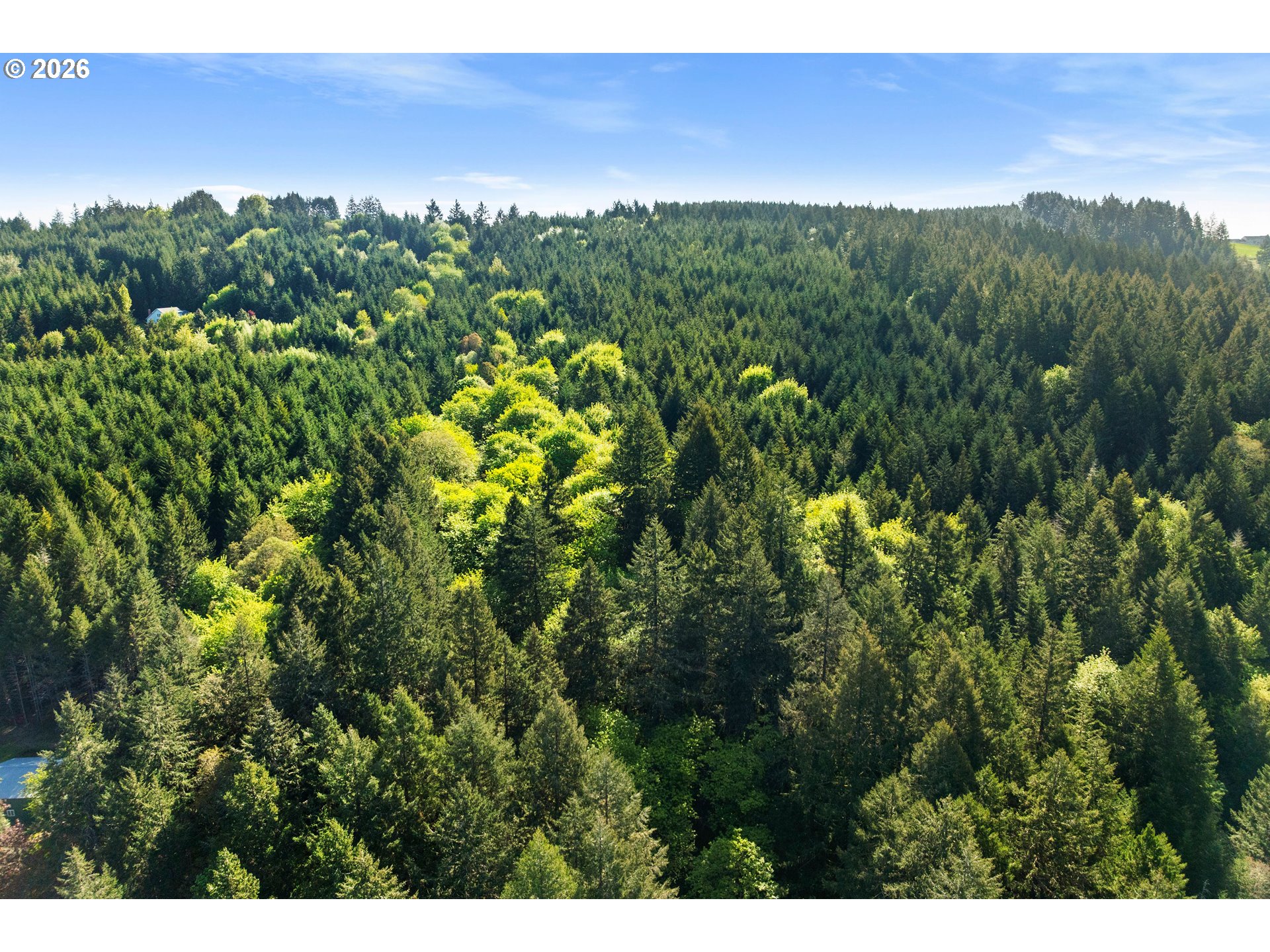 11322 Northwest Parson Road Forest Grove, OR 97116 - Photo 44 of 48
