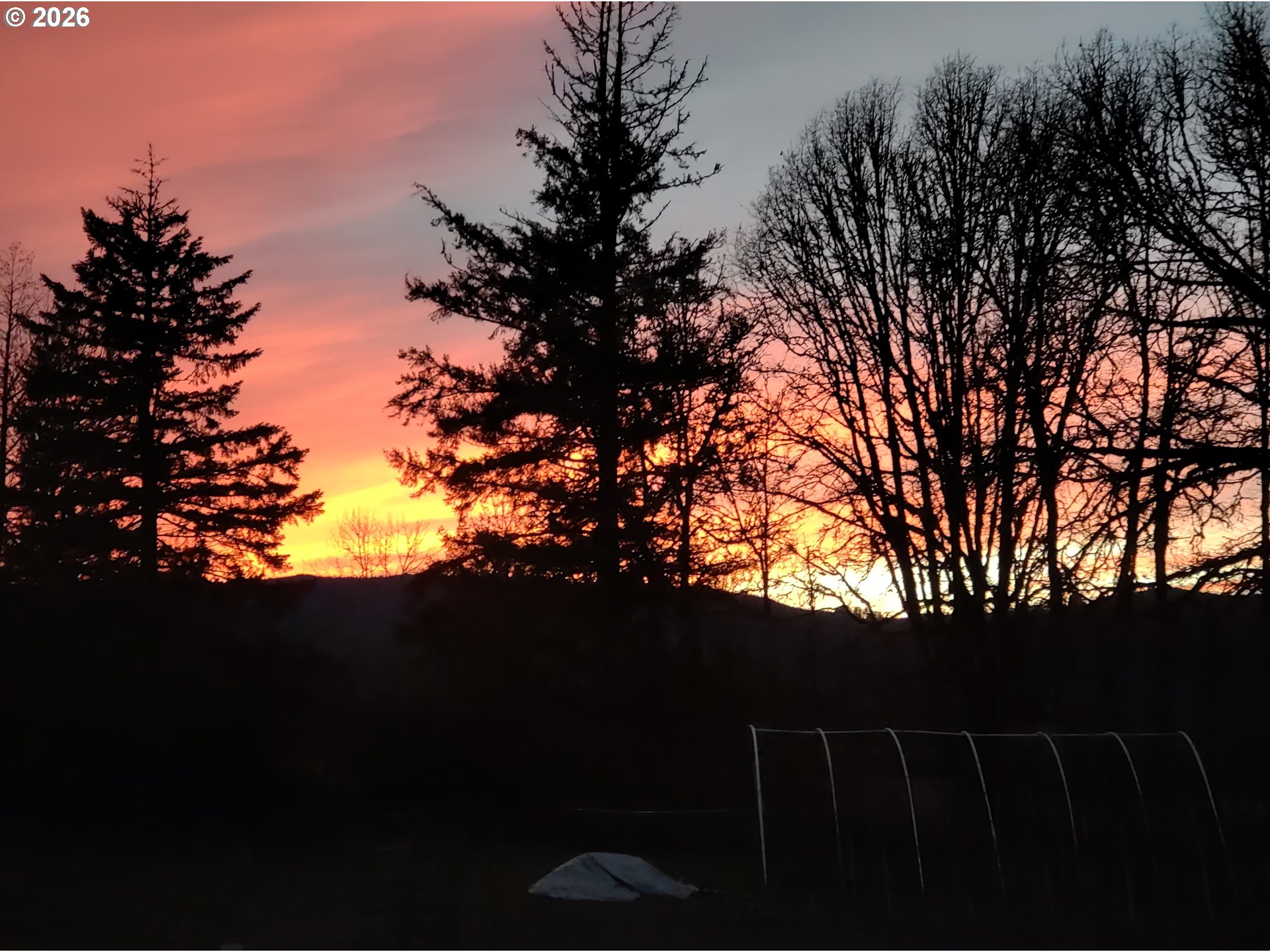 11322 Northwest Parson Road Forest Grove, OR 97116 - Photo 47 of 48