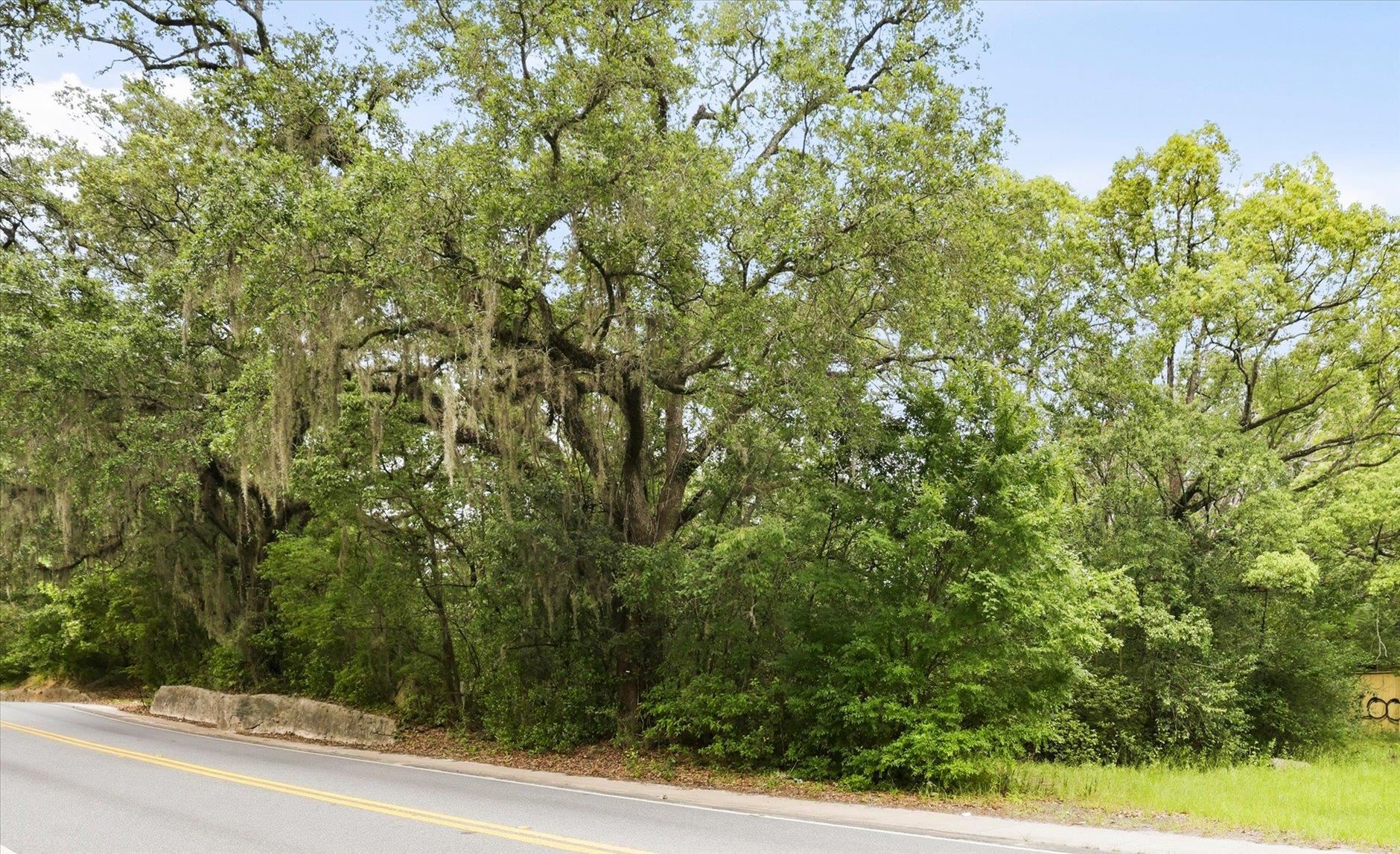 1612 Old Bainbridge Road Tallahassee, FL 32303 - Photo 24 of 43