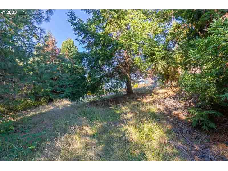 6295 Kings Ridge Road Dallas, OR 97338 - Photo 37 of 44 a view of a yard with plants and a bench