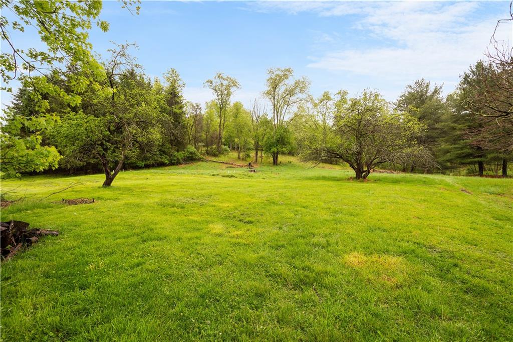 36 Little Mingo Road Finleyville, PA 15332 - Photo 44 of 50 a view of field with trees in the background