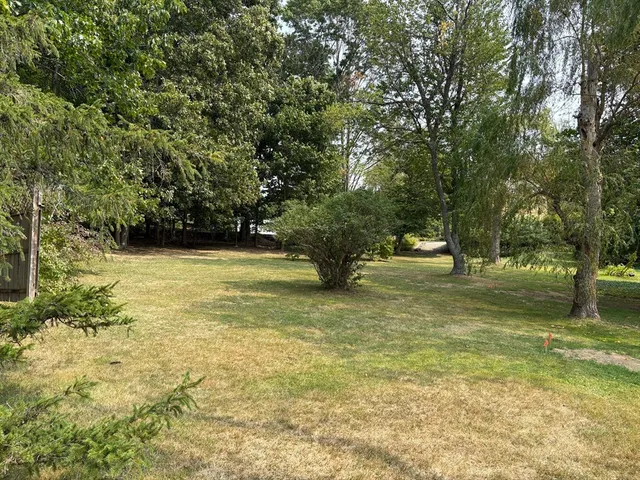 a view of outdoor space with trees all around