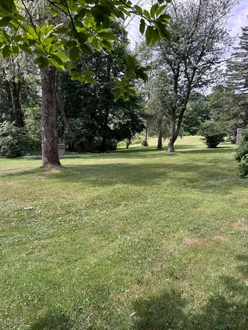 a big yard with lots of green space and trees