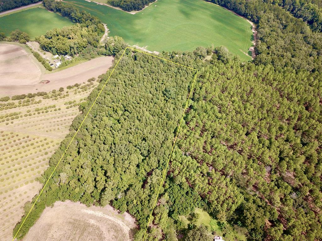 10.69-acres Summer Road Slocomb, AL 36375 - Photo 30 of 51