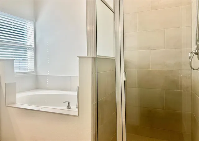 a bathroom with a bathtub and a shower