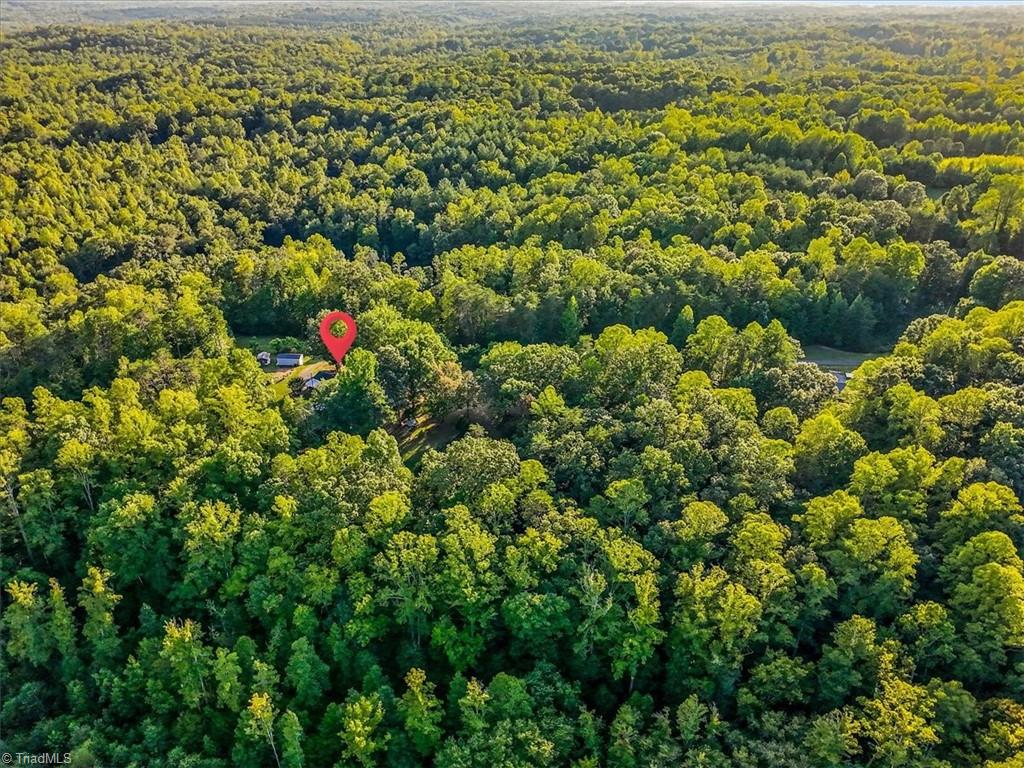 558 Throckmorton Road Madison, NC 27025 - Photo 41 of 48 Gallery Image 41