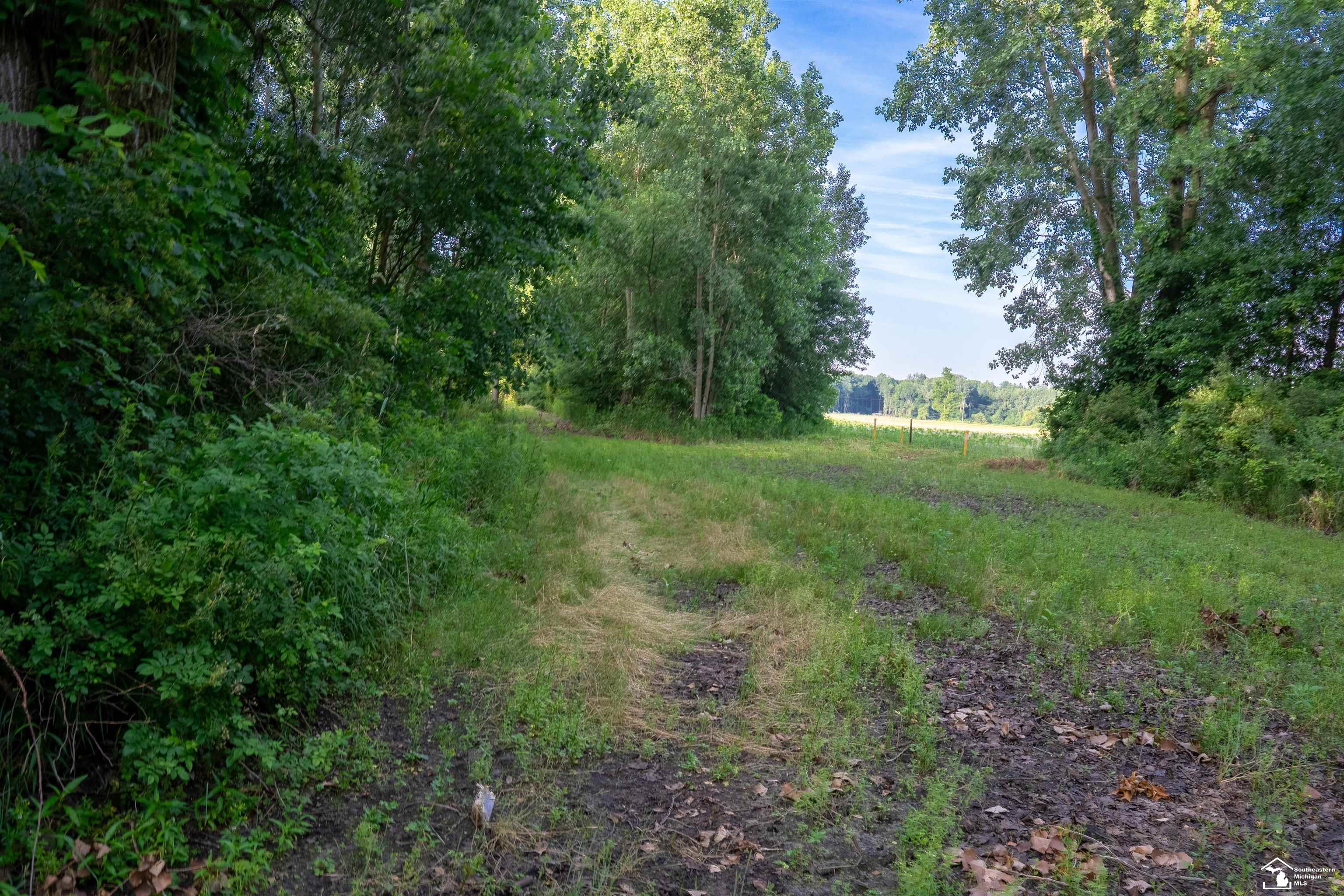 Parcel D Timbers Road Carleton, MI 48117 - Photo 9 of 20