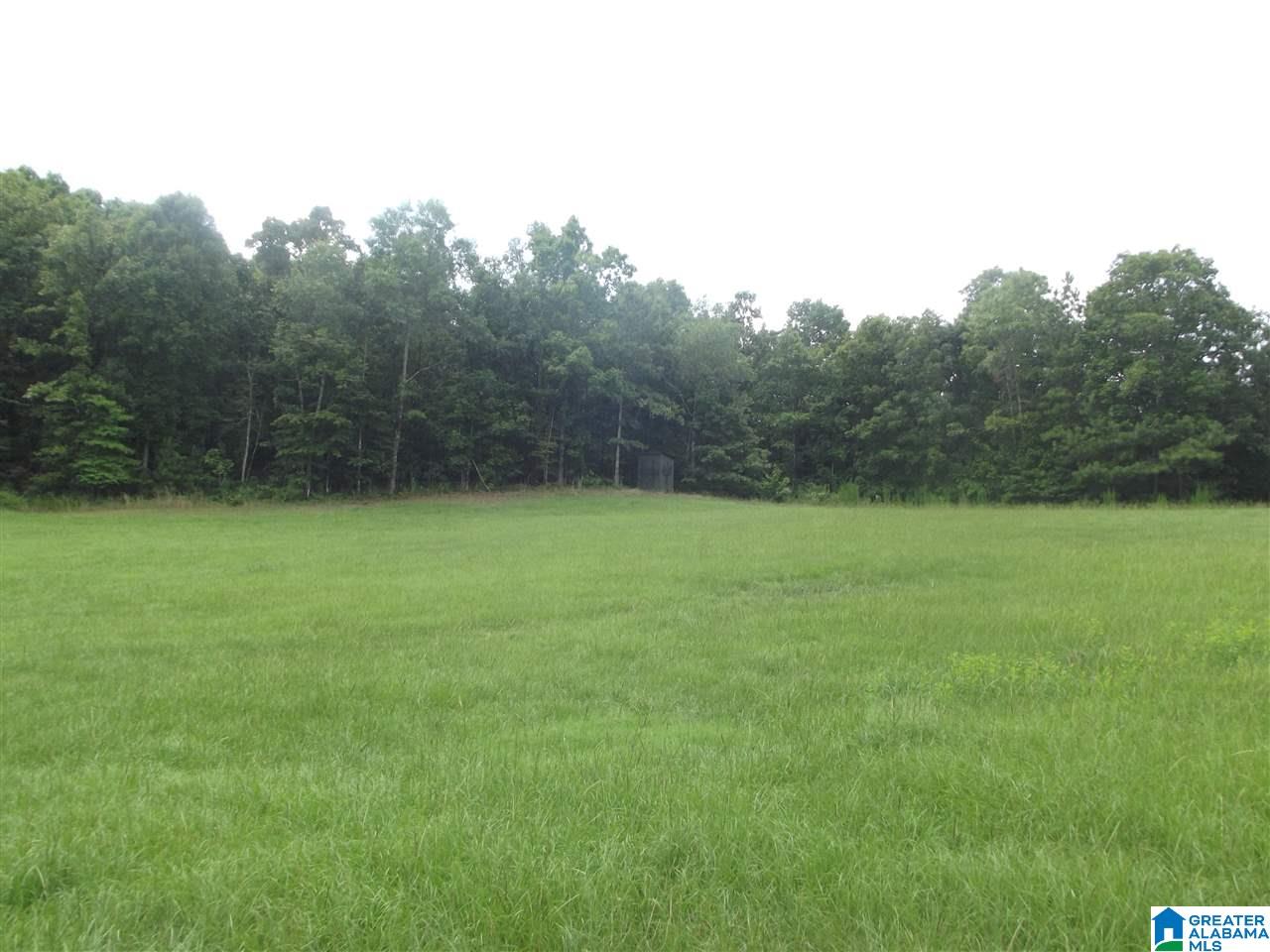372 Highway 69 Chelsea Al, Unit 20 Chelsea, AL 35043 - Photo 1 of 6