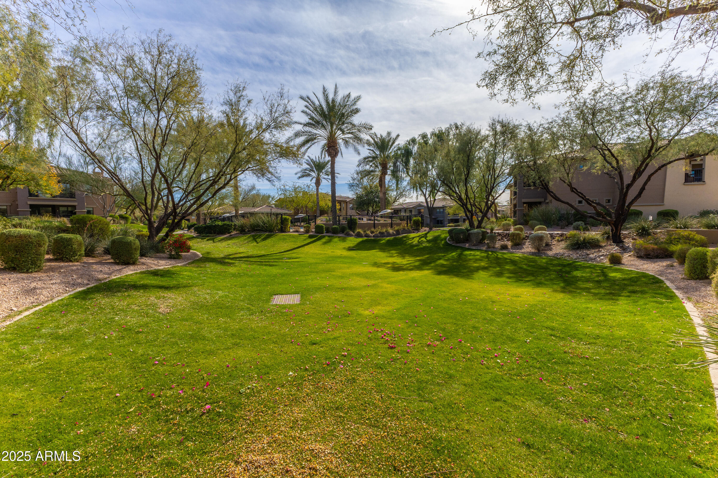 21320 North 56th Street, Unit 2001 Phoenix, AZ 85054 - Photo 28 of 45 a view of a trees in front of a house