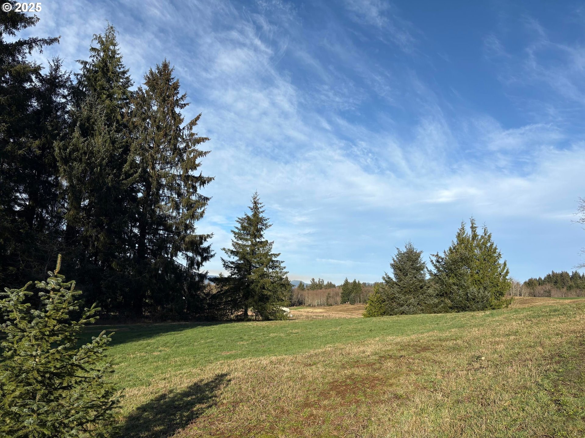 Hurliman Hill Road Tillamook, OR 97141 - Photo 4 of 8 Gallery Image 4