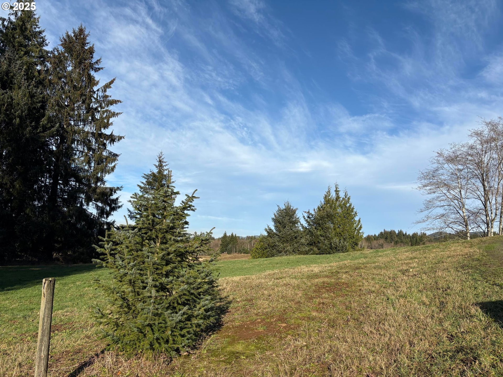 Hurliman Hill Road Tillamook, OR 97141 - Photo 5 of 8 Gallery Image 5
